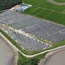 다음태양광발전소 이미지