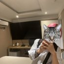호텔 르오 이미지