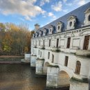 유흥농장 이미지