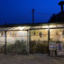 상미농원 이미지