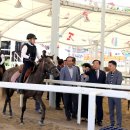 영광승마장 이미지