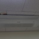 보길면-2 이미지