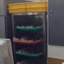 북촌손만두자양점 이미지