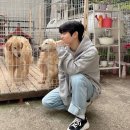 멍뭉이 이미지