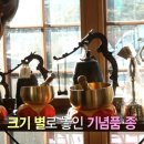 풀소유