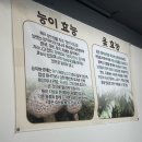 한가네닭볶음 네이버블로그