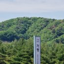 통도사휴게소(호두코너) | 가평휴게소 먹거리 가평호두잣과자 잣호두과자 필수간식 후기 가격