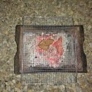 흙집세상 이미지