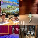 동탄 스케치 동물병원 | 동탄 호수공원 키즈카페 네이처스케이프 후기 할인 주차