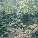 종남축산 이미지