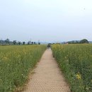 물결공원 화장실 이미지