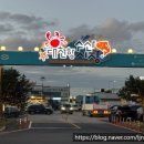 대합정기시장 | 보령 대천항수산시장 회 포장 후기 feat. 모범수산