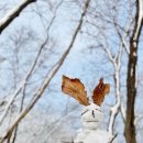 1월7일(토)고터신세계백화점__** 이미지