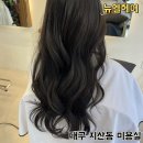 뉴엘헤어 이미지
