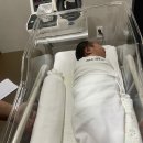 우먼피아산후조리원 | 의정부 우먼피아 조리원 금오점 내돈내산 후기 (애니스튜디오 본아트)