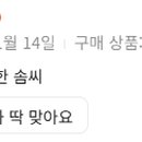 위스커