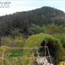 내서읍724 이미지