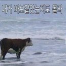 지봉로45번길 이미지