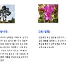 단국대학교부속소프트웨어고등학교 | (특성화고/직업고) 단국대학교부속소프트웨어고등학교 2026 신입생 입학안내, 2026 학교안내
