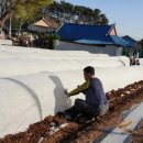 경환농장 이미지