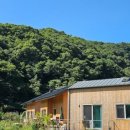 청정수풀 이미지