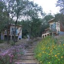 좌구산자연휴양림 이미지