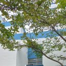 뉴훼미리공인중개사사무소 이미지