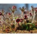 한밭수목원 서원 이미지