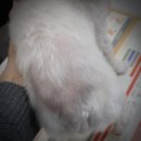 훈동물병원 이미지