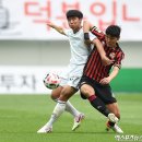 토미골 엑스포츠뉴스