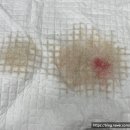 선부중앙동물의료센터 이미지