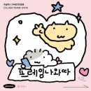 바다냥이네 | 빌려온 구냥이