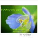 에이스헬스사우나 네이버블로그