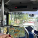 청년, Forest | 여자 혼자 무계획 발리 여행 🤪 <우붓>편