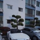 옥천톨게이트주유소 이미지