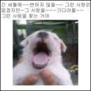 한비다방 | 블친들 듣고 있어? 뜨거운 얘기 좀 하자고