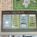 벼락맞은대추나무식당