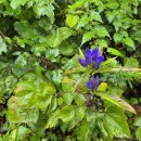 서화마을 이미지