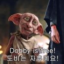 블럭파티 이미지