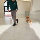 털로덮인친구들 달서점 이미지