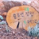 수림 농장 이미지