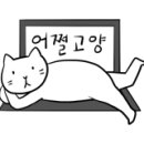 삼복이네 수제간식 이미지