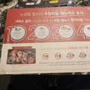 노성일참치 이미지