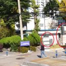 금정중학교 이미지