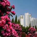 중동 근린공원 이미지