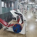 학성 스포렉스 이미지