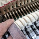 화촌초등학교 이미지