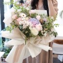 소유플레르 이미지