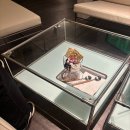 동천로113번길 | 수지 카페 | 인더볼 : 그릭요거트 전문 감성카페 추천