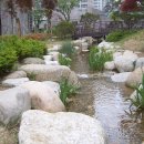 생태연못 이미지